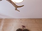 5*Sterne Ferienwohnung Edelweiß