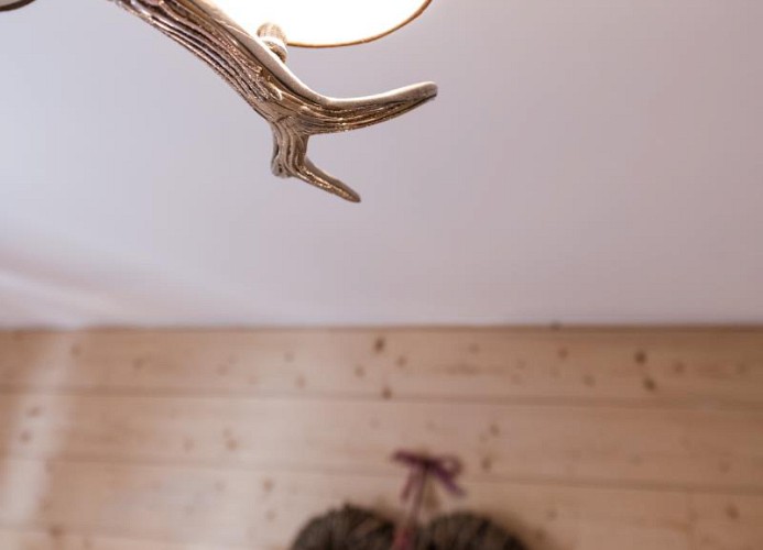 5*Sterne Ferienwohnung Edelweiß