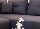 5*Sterne Ferienwohnung Orchidee