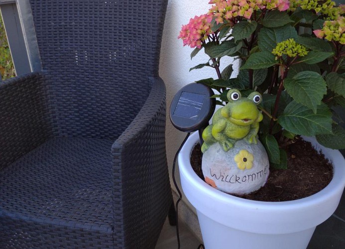 5*Sterne Ferienwohnung Orchidee