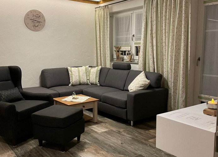 Ausziehsofa und Ohrensessel